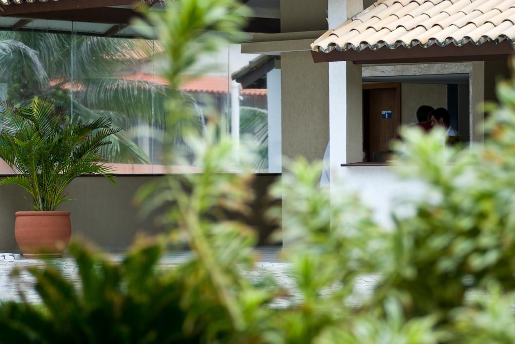 Oyo Hotel Arembepe Beach Hotel, Camacari Eksteriør bilde