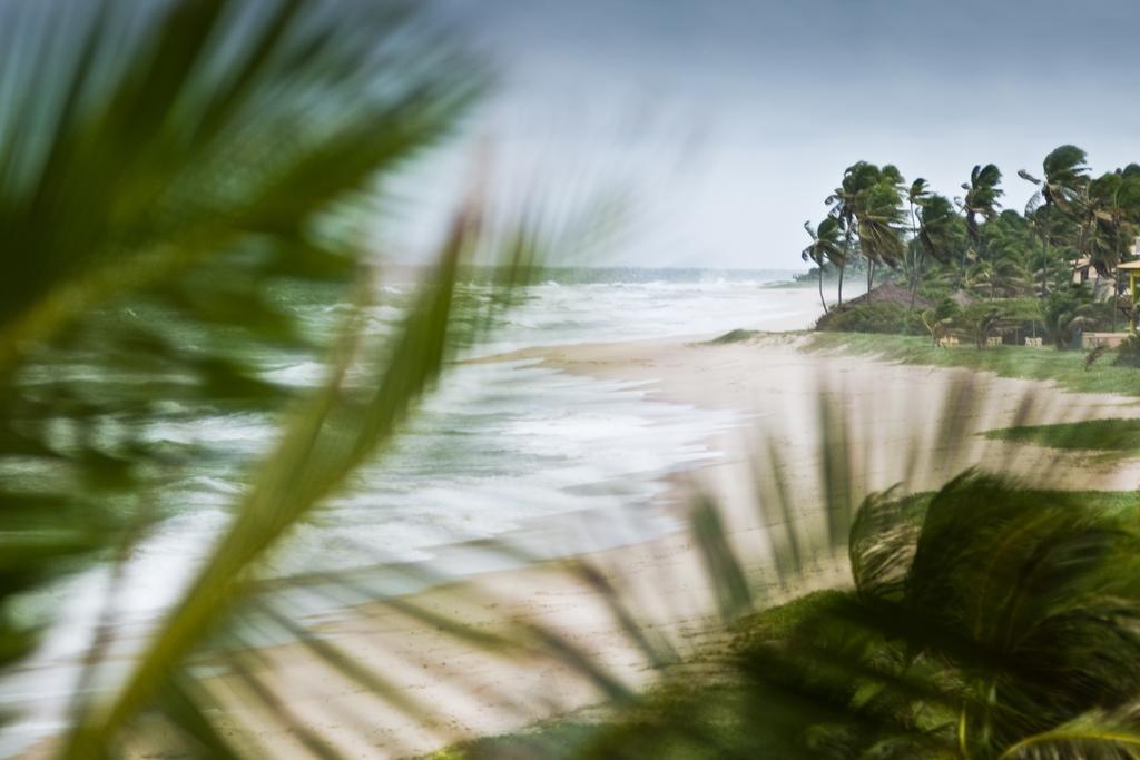 Oyo Hotel Arembepe Beach Hotel, Camacari Eksteriør bilde